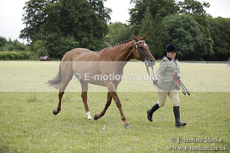 BVR160717-1095 - In Hand Championship 16/07/17