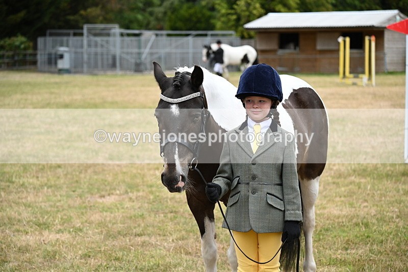 WJ6_4424 - Class 10 Coloured In-hand