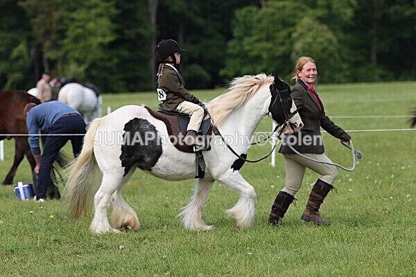 IMG_2298 - Working Hunter