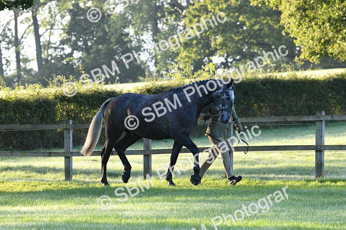 SBM_32489 - S15 - Condition & Turnout In Hand