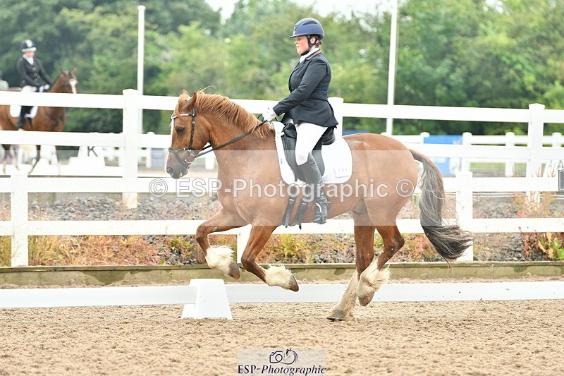 230708A-135429-02878 - Elementary 43