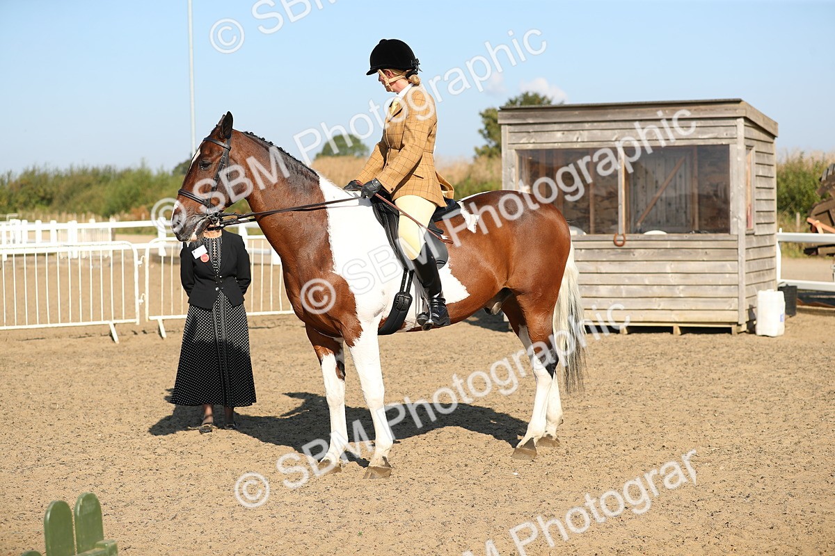 SBM_01217 - Class 42 Ridden Veteran