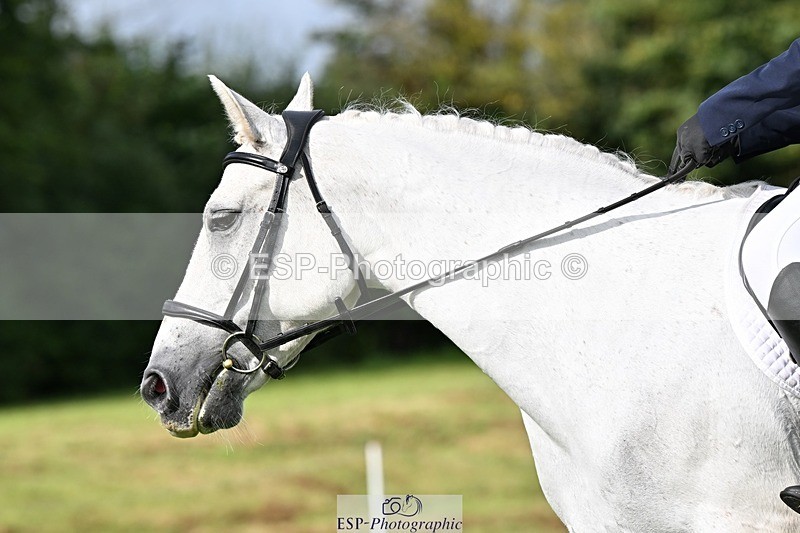 230826-094232-16195 - Sections A & B - 9 to 10am