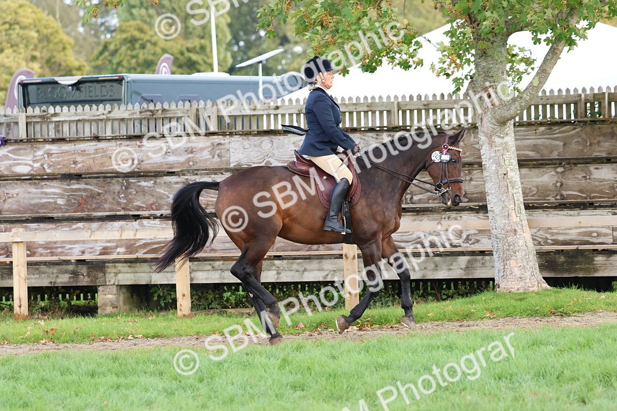 SBM_47649 - S28 - Veteran Ridden