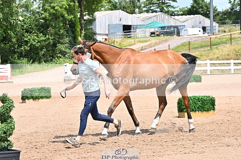 240718A-105319-01837 - Trot Up 1pm to 2pm