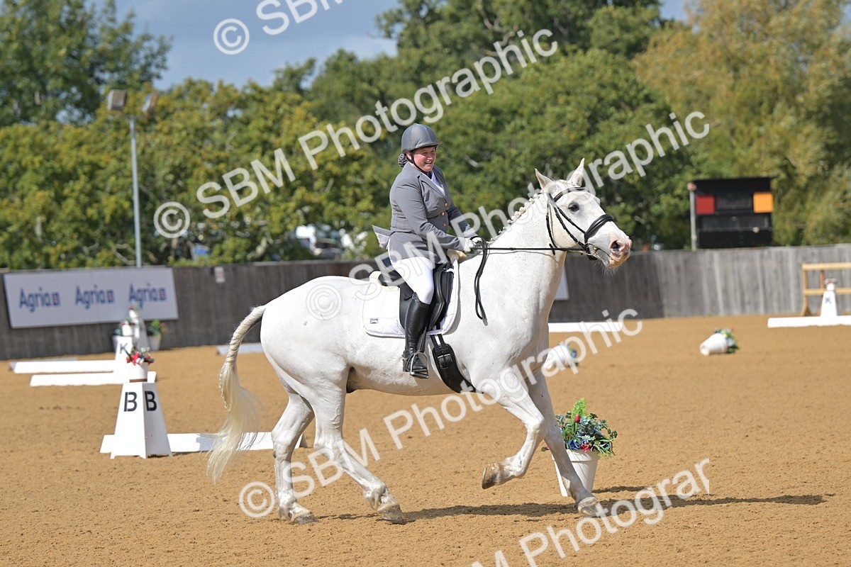 SBM_10887 - D3 - Small Tour Championship Intro 3