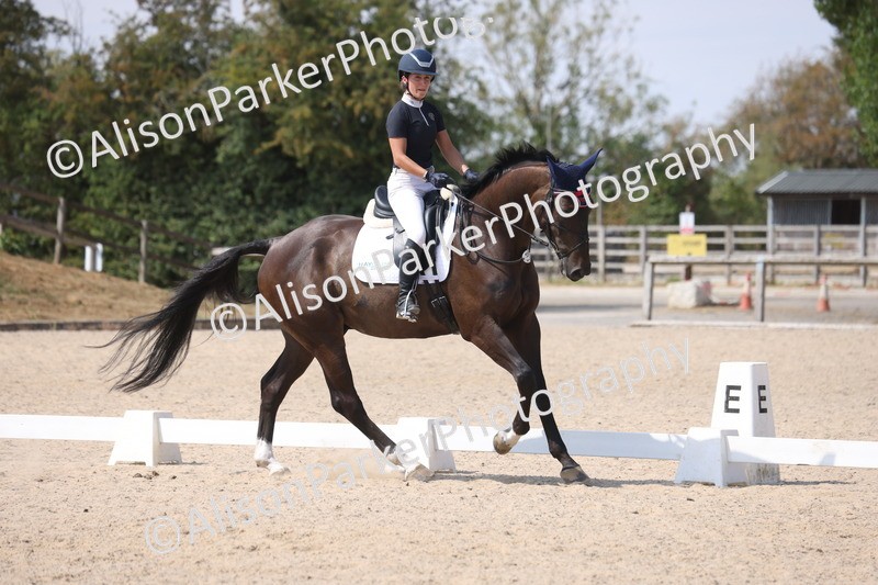 20260815-0948 - Class 5 - Novice 1