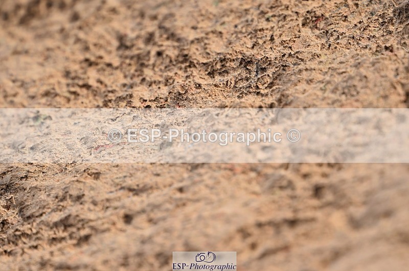 231028A-102942-00438 - Cls 1 Pony 70cm