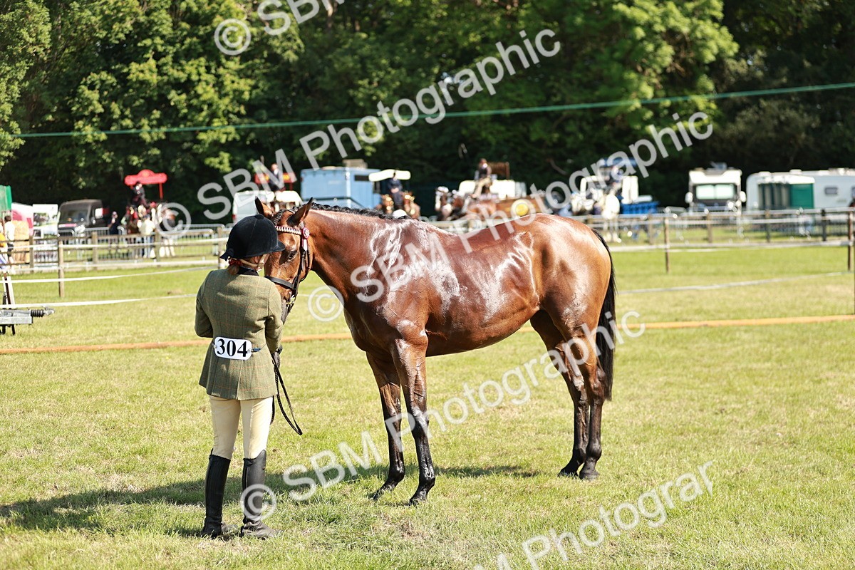 SBM_18911 - Class 114 - RIHS & SEIB Open Working Show Horse