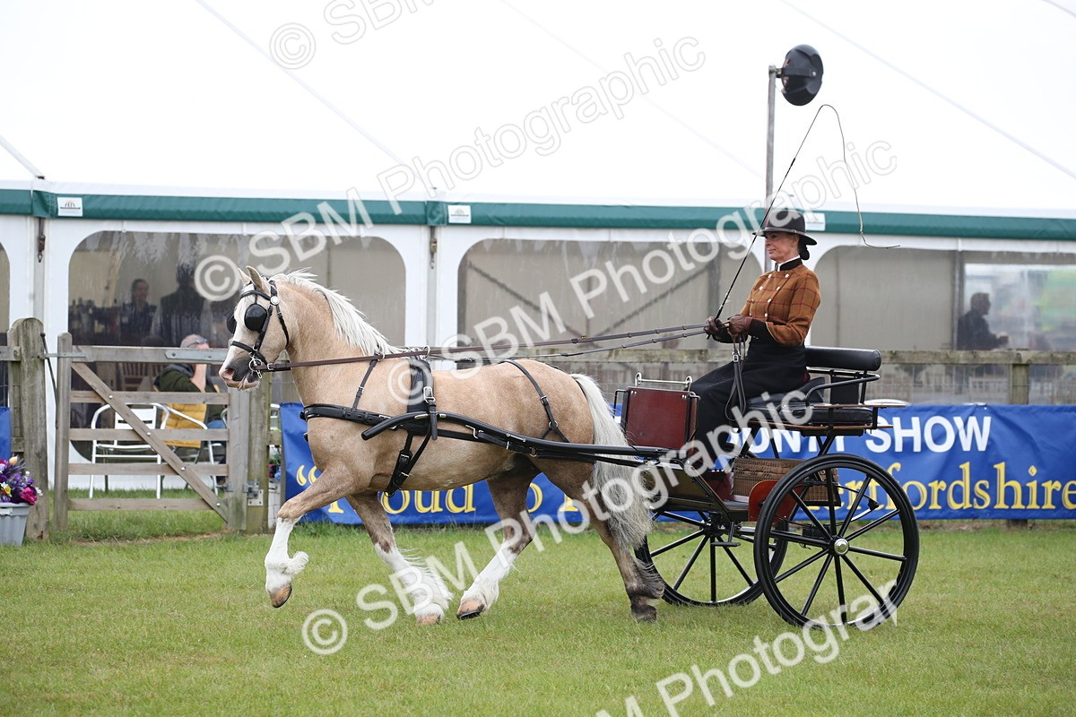 SBM_05651 - Class 12-15 - HOYS Private Driving