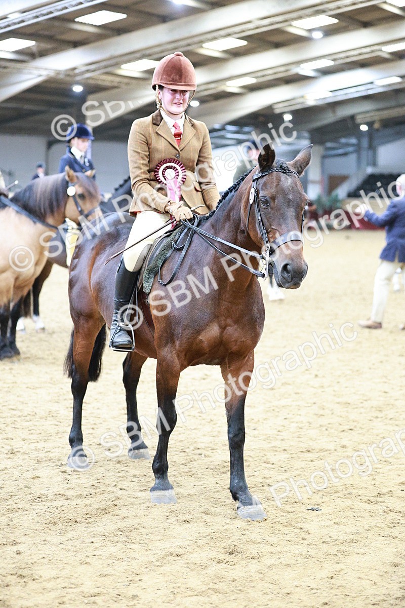 SBM_08345 - Class 11R - Regional Ridden Veteran