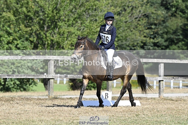 250822A-101408-20179 - DR 10.00 to 11.00