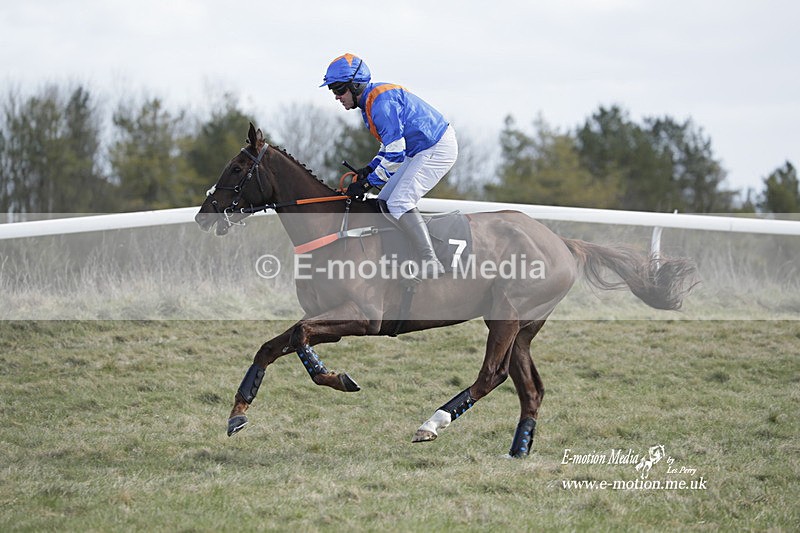 PtP 260223 551 - South & West Wilts Point-to-Point Larkhill 26/02/23