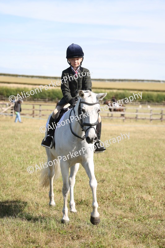 20260906-2191 - Class 16 - Family Pony