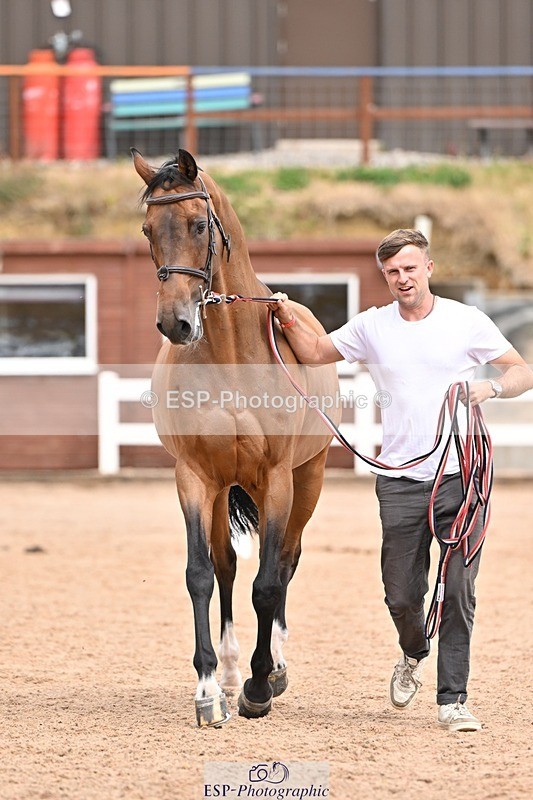 250716-154436-02177 - Trot Up 3.30 to 4.30