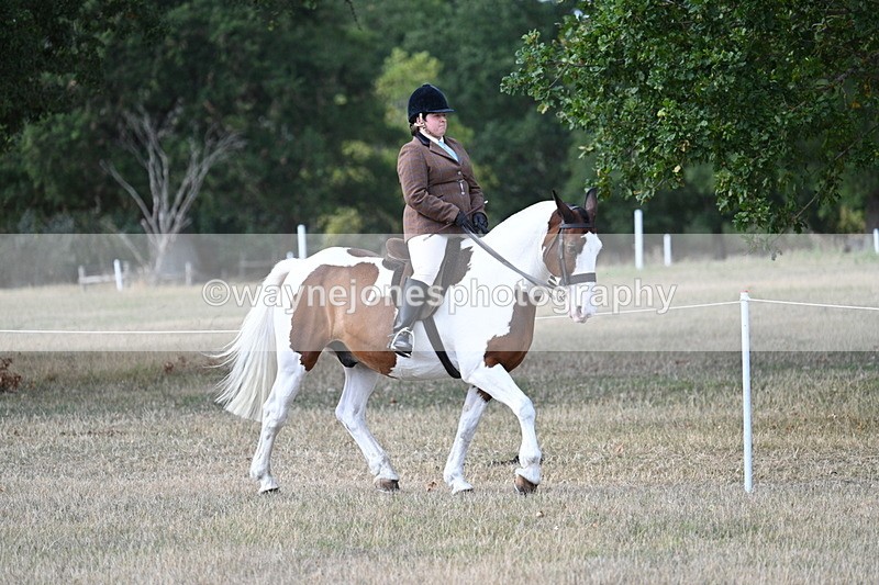 WJ7_6833 - Class 14 Ridden Coloured