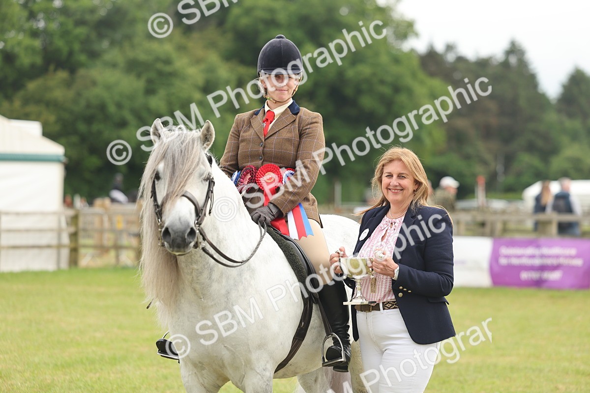 SBM_09153 - Class 78-80 - Ridden M&M Non Welsh Ponies