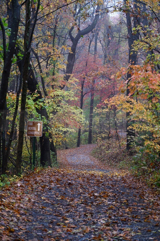 DSC_4038 - Roads