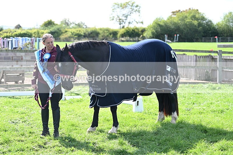 WJ7_1713 - 80cm Champs