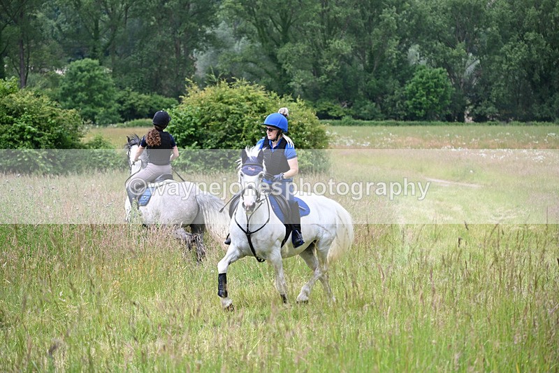 WJ6_7959 - Camera 1 Gallops
