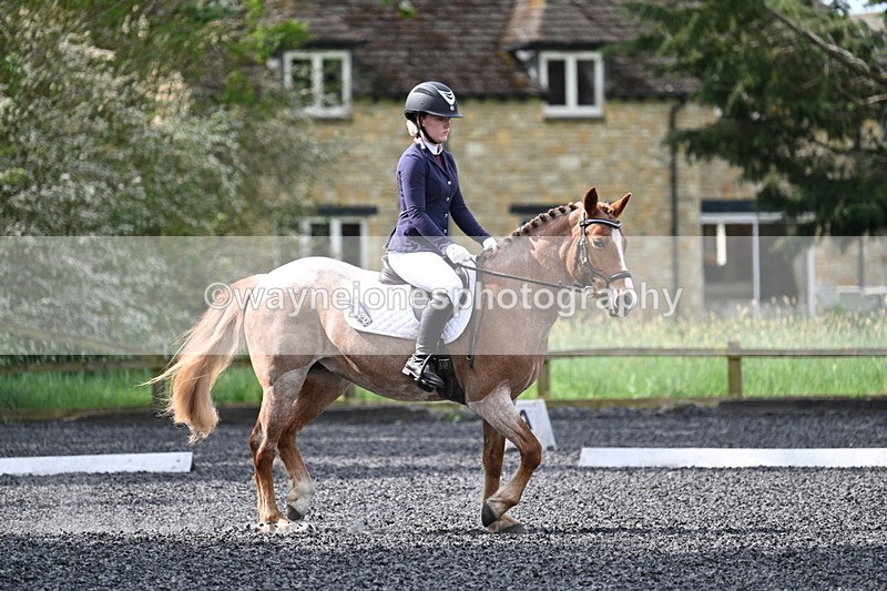 WJ7_8111 - Time 10:11 to 10:27