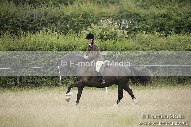 B230619-0098 - Bourne Valley Riding Club Summer Show 23/06/19