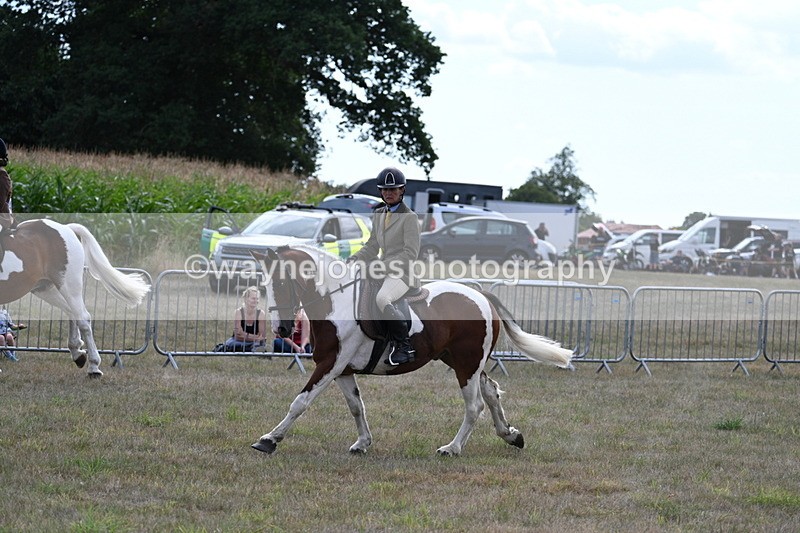 WJ7_6998 - Class 14 Ridden Coloured