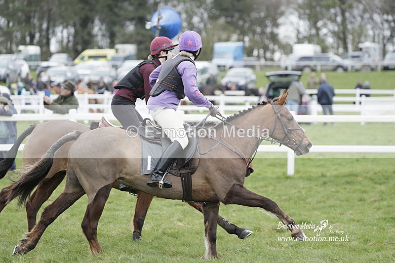 PtP 260323 0094 - New Forest Hounds Point-to-Point Larkhill 26/03/23