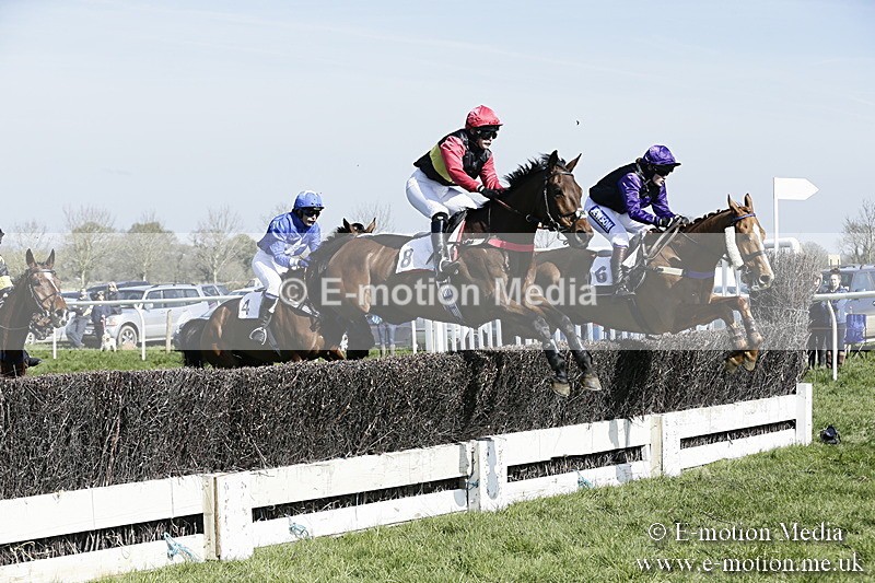 PtP 260317 67 - Mendip Farmers Point-to-Point Ston Easton 26/03/17