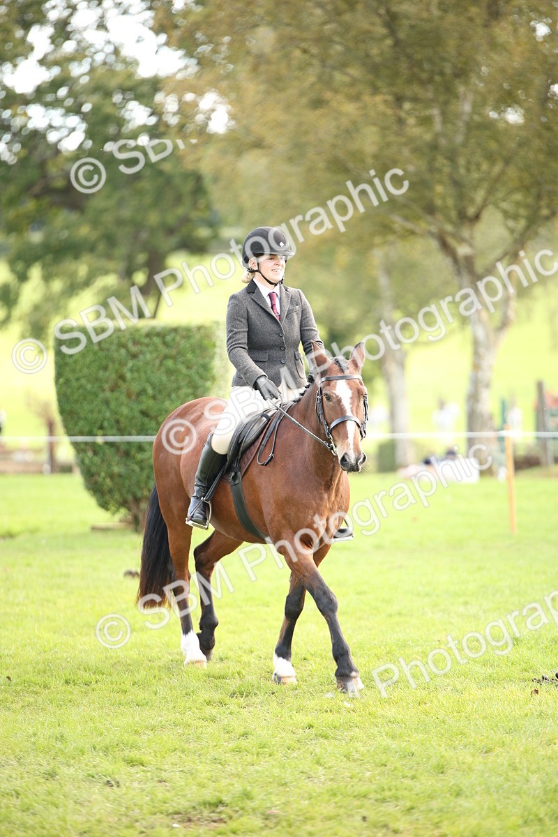 SBM_50239 - S26 - Young Veteran - Ridden