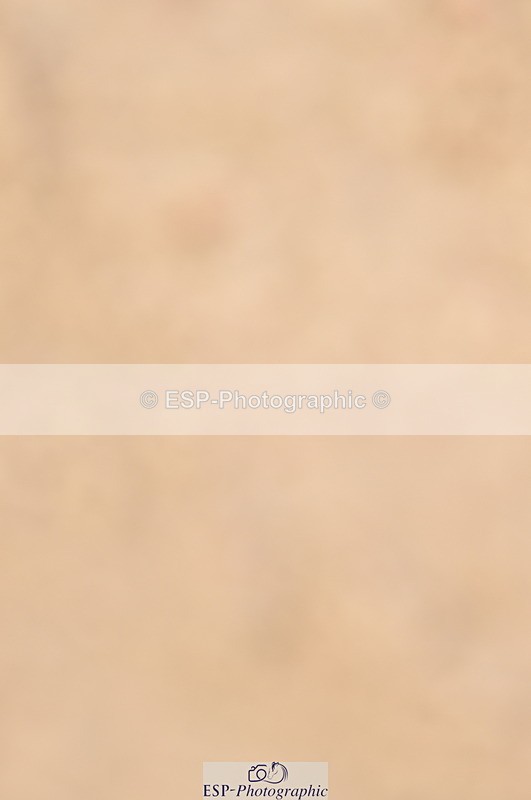 240403A-155408-01055 - Cls 5 Foxhunter and 1.20m Open