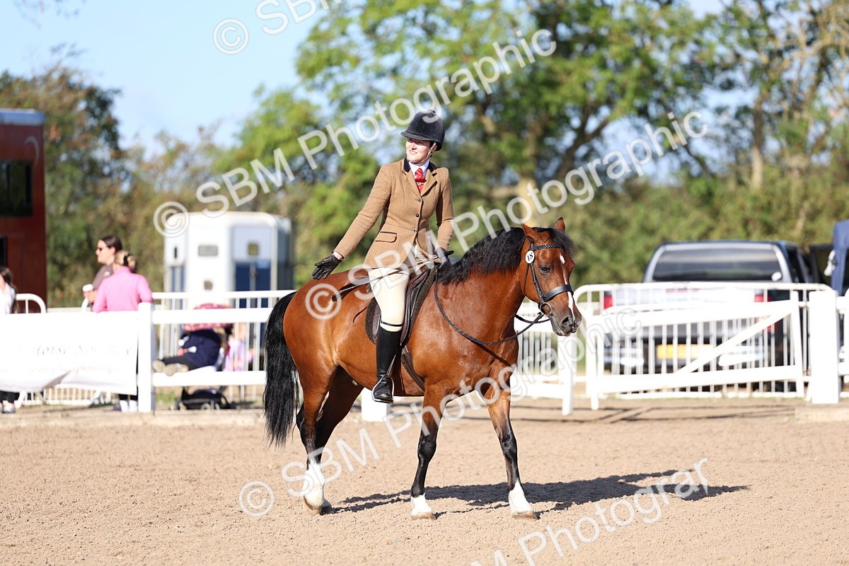SBM_08838 - Class 302 - Ridden M&M - Large Breeds