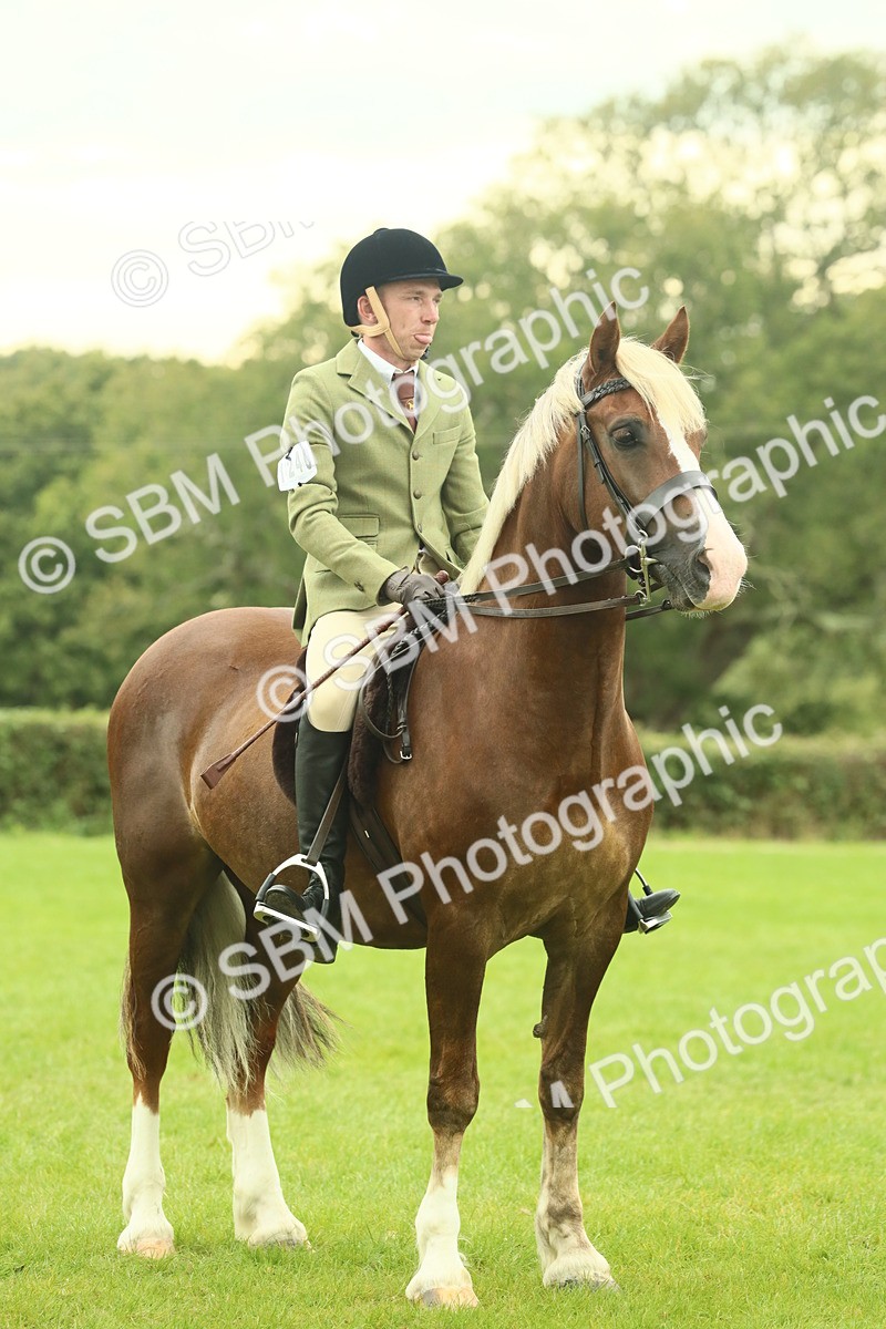 SBM_72224 - S60 - Mountain & Moorland Ridden Large Breeds