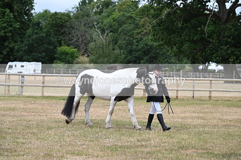 WJ6_4584 - Class 10 Coloured In-hand