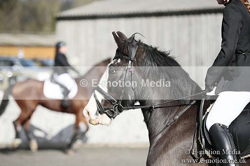 BVRC SJ 170319 10 - Bourne Valley Riding Club Showjumping 17/03/19