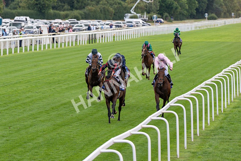 190826-Race 3-Maltese Cross-0311 - Race 3 15.00pm Sky Bet Great Voltigeur Stakes