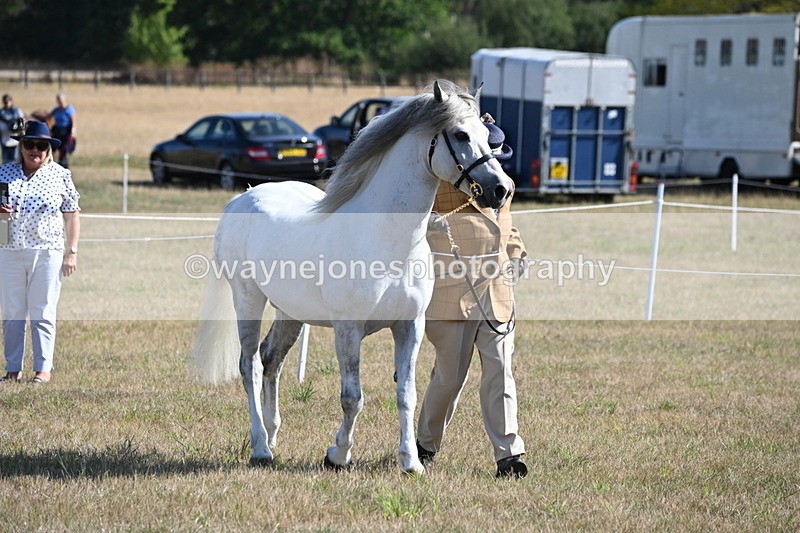 WJ6_4214 - Class 16 Condition & Turn Out