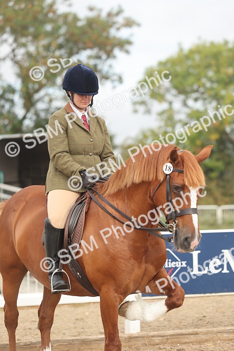 SBM_01945 - Class 14 - Ridden M&M Wildcard