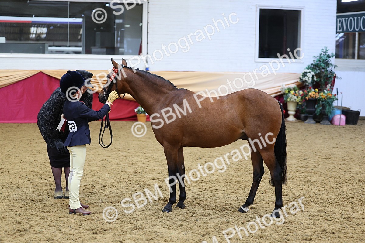 SBM_22708 - Class 903 - Supreme Final - IH Pre Vet