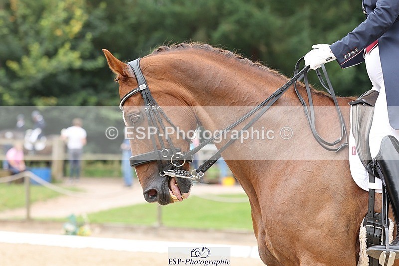 240810-144033-03783 - 121-Debbie.Cole-Dancer.III