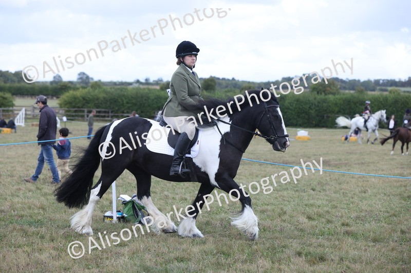 20250831-4230 - Class 20 - Ridden Coloured