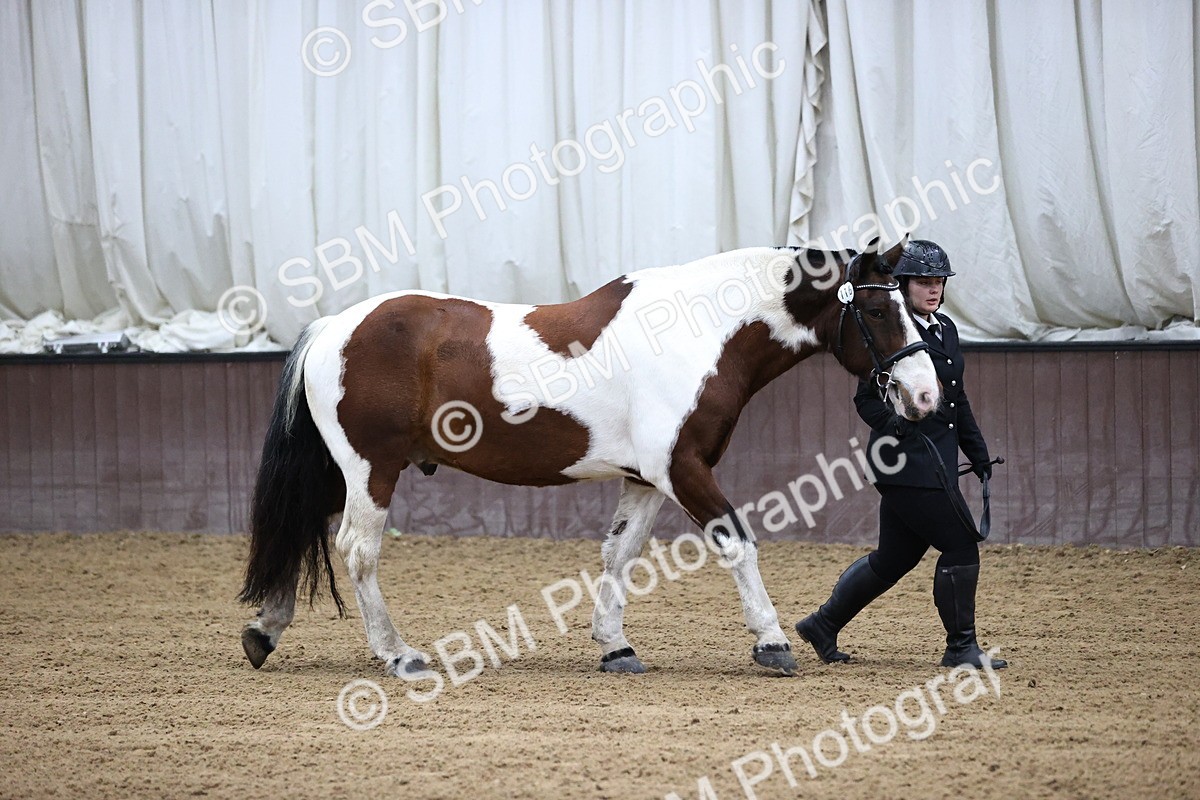 SBM_5246 - Class 32 - In Hand Cob Type