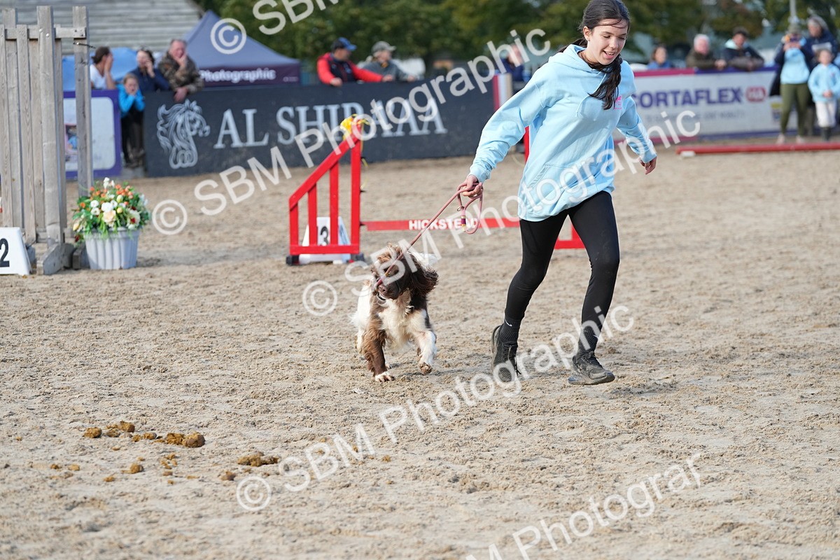 SBM_29164 - J43 - Horse & Hound Open 50cm