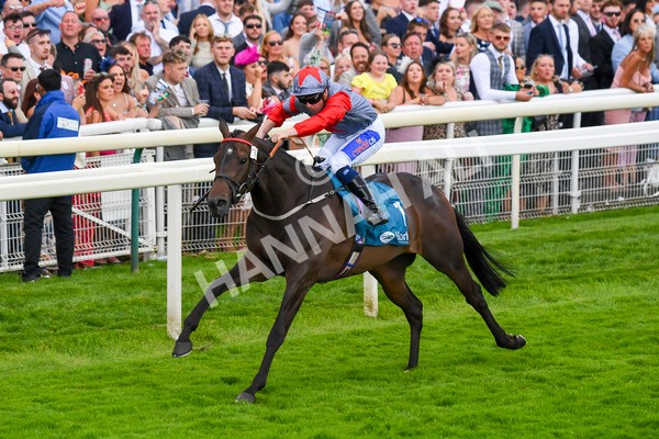 290723-Race 7-Bajan Bandit-1106 - Race 7 5.45pm Sky Bet Extra Places Every Day Handicap