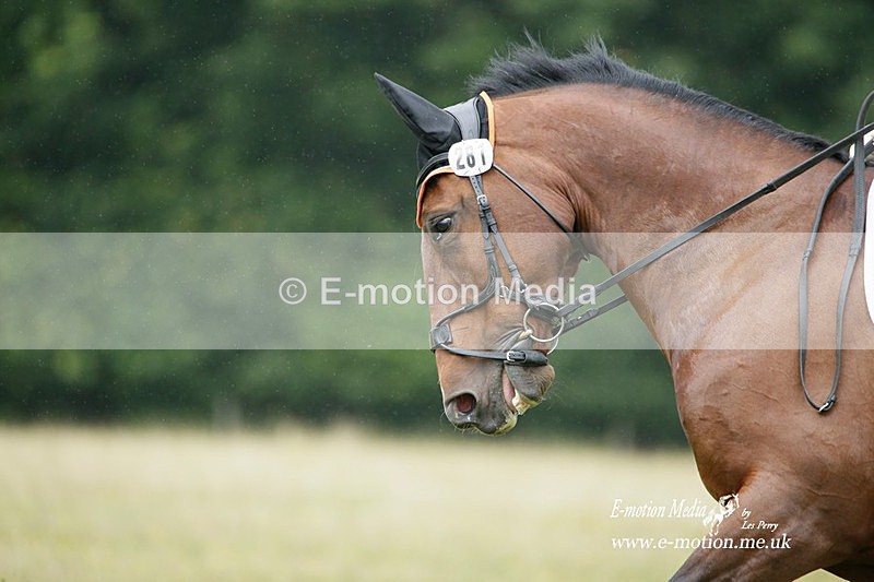 BVRC 030721 654 - Bourne Valley Riding Club Dressage 03/07/21