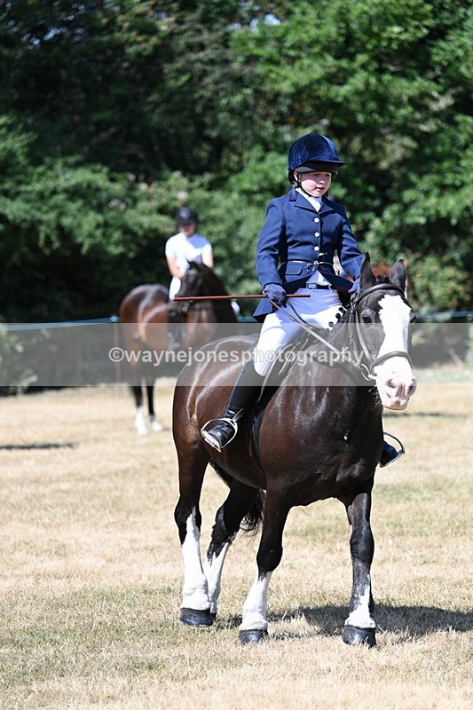 WJ7_3699 - Class 8 Ridden Veterans