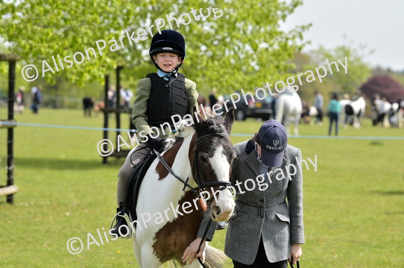 20260426-2318 - Class 20 - Beginner Working Hunter