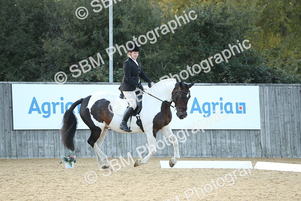 SBM_30644 - D20 - Grand Tour Championship - Elementary 44