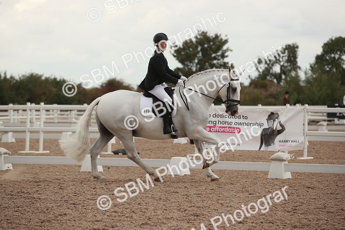 SBM_06173 - Class 33 - Elementary 1