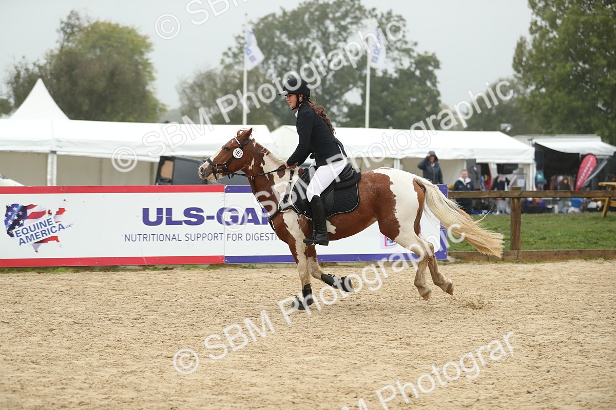 SBM_74160 - J16 - Junior Pony 75cm Championship